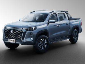 2023款2.0T 自动四驱领航型标箱 汽油 整体外观