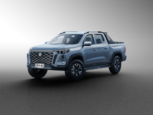 2023款2.0T 自动四驱领航型标箱 汽油 整体外观