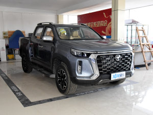 2023款2.0T 自动四驱领航型标箱 汽油 右前45度