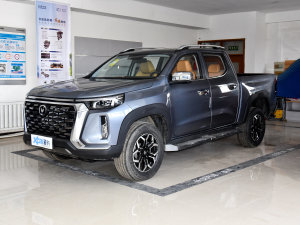 2023款2.0T 自动四驱领航型标箱 汽油 左前45度