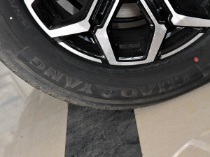 20232.0T ԄI͘  ݆̥Ʒ