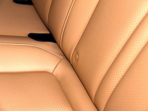 20232.0T Ԅ(dng)(q)I(lng)͘(bio)  g