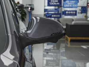 20231.5T DCTŞ (x)(ji)^