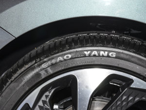 20231.5T DCTŞ ݆̥Ʒ