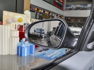 20231.5T DCTŞ (x)(ji)^