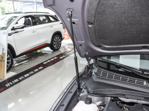 2023款1.5T DCT旗舰型 其它