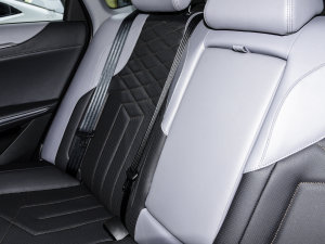 20231.5T DCTI(lng) g