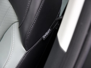 2023{LNE 1.5T GDI DCTŞ п؅^