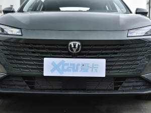 2023款蓝鲸NE 1.5T GDI DCT尊享型 中网