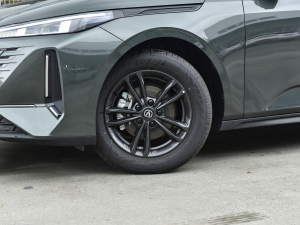 2023款蓝鲸NE 1.5T GDI DCT尊享型 轮圈
