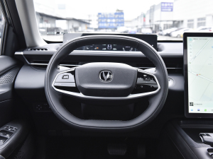 2023款蓝鲸NE 1.5T GDI DCT尊享型 方向盘