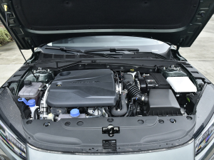2023款蓝鲸NE 1.5T GDI DCT尊享型 发动机