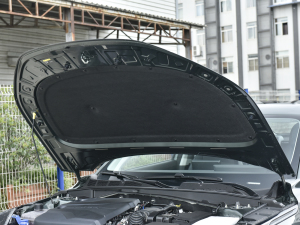 2023款蓝鲸NE 1.5T GDI DCT尊享型 发动机舱隔音棉