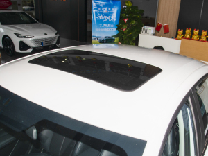 2023款蓝鲸NE 1.5T GDI DCT畅享版 车顶