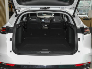 2023款1.5T 135km 智趣型 空间座椅