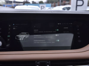 2023PLUS 2.0T F п؅^