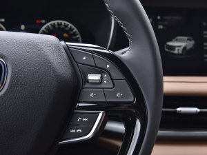 2023PLUS 2.0T F п؅^