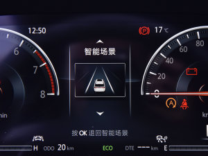 2023PLUS 2.0T F п؅^