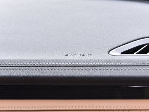 2023PLUS 2.0T F п؅^