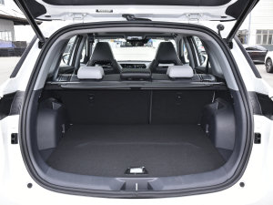 2023 2.0T Ԅ(dng)Ş g