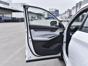 2023 2.0T ԄŞ {λ܇T