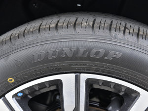 2023 2.0T ԄF ݆̥Ʒ