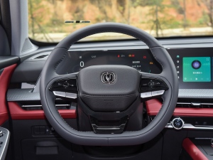 2023ڶ 1.5T ԄӾӢ P