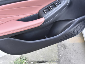 2023款畅享版 PLUS 蓝鲸NE 1.4T GDI DCT尊贵版 前门储物空间