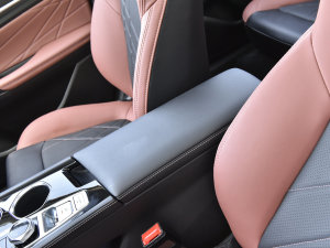 2023款畅享版 PLUS 蓝鲸NE 1.4T GDI DCT尊贵版 中央扶手箱