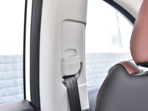 2023 PLUS {LNE 1.4T GDI DCTF g