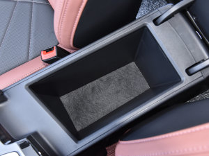 2023 PLUS {LNE 1.4T GDI DCTF g