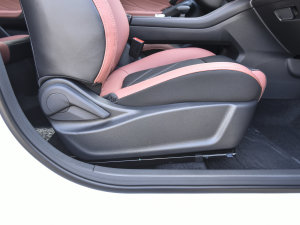 2023 PLUS {LNE 1.4T GDI DCTF g