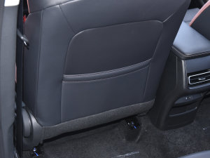 2023 PLUS {LNE 1.4T GDI DCTF g