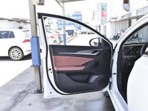2023款畅享版 PLUS 蓝鲸NE 1.4T GDI DCT尊贵版 驾驶位车门