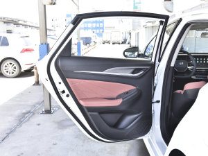 2023款畅享版 PLUS 蓝鲸NE 1.4T GDI DCT尊贵版 左后车门