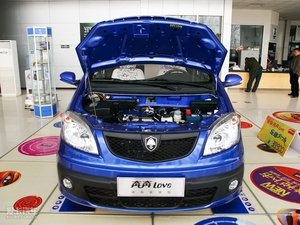 2010款1.3L 手动标准版 其它