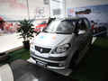2007���i�������
