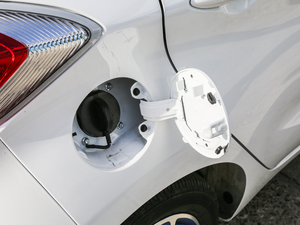 2017(bio)(zhn) 210kmm(x) (x)(ji)^