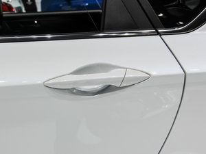 2017款蓝动版 1.6L 手动领航型 细节外观