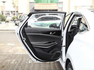 2018款1.5T 自动豪雅型 国V 左后车门