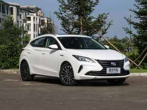 20181.6L GDI Զ쳱 