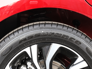 2019RS 330T Ԅʹ VI ݆̥Ʒ