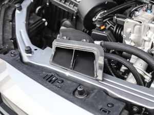 2019Redline 320T pxˬ VI 