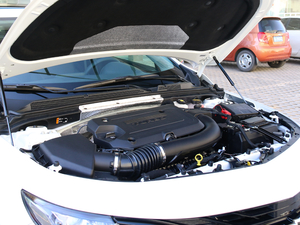 2019Redline 550T Jǰ VI 