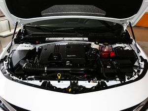 2019535T JӰ VI lәC