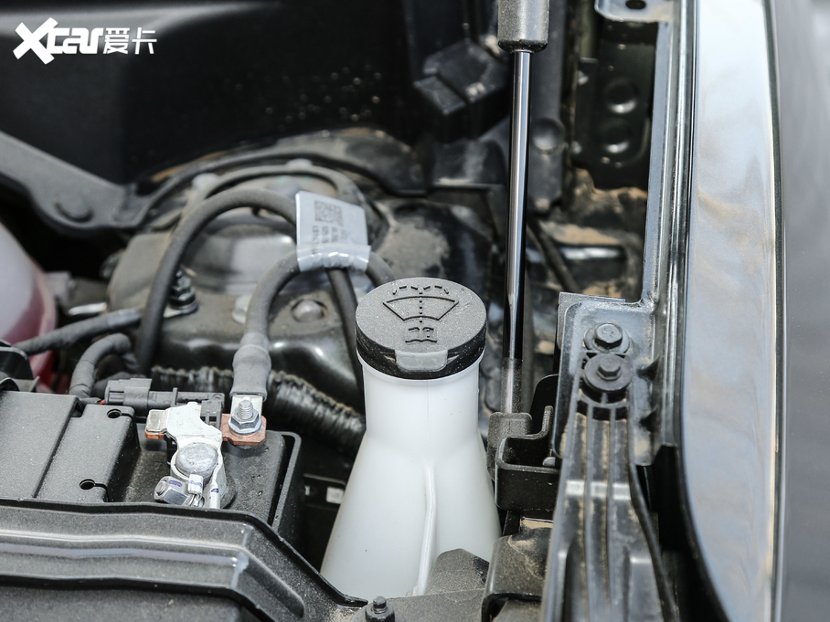 2019̽ Redline 550T Ԅ򌺴RS VI