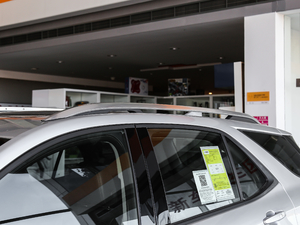 2019Redline 550T ԄؽRS V ^