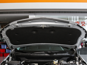 2019Redline 550T ԄؽRS V 