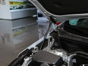 2019Redline 550T ԄؽRS V 