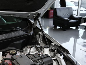 2019Redline 550T ԄؽRS V 